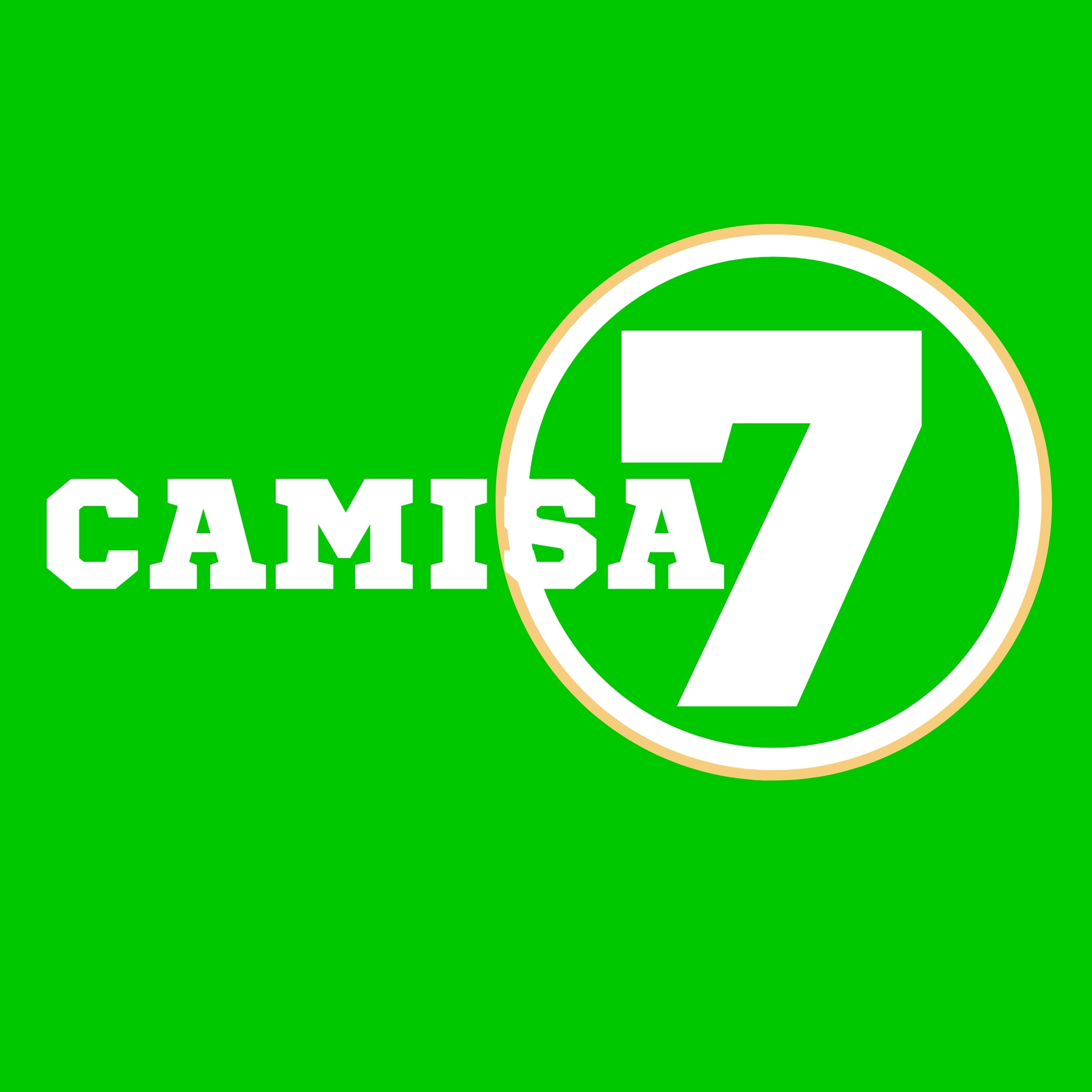 Logo Camisa7